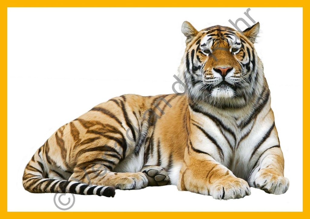 Fotos Wortschatz Zootiere