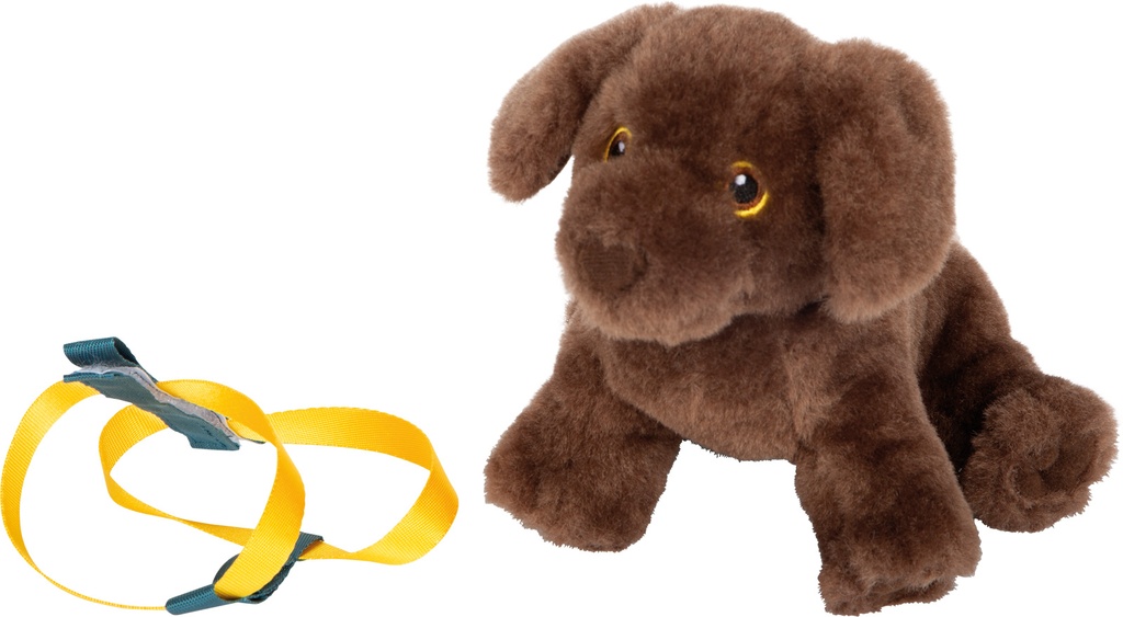 Hund mit Tasche und Pflege-Set