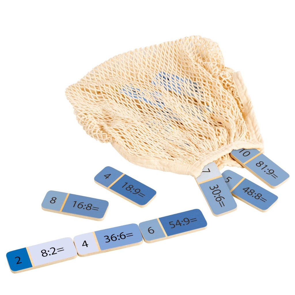 Mathe-Domino Division