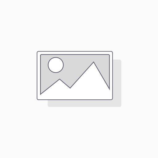 Neuromotorische Schulreife